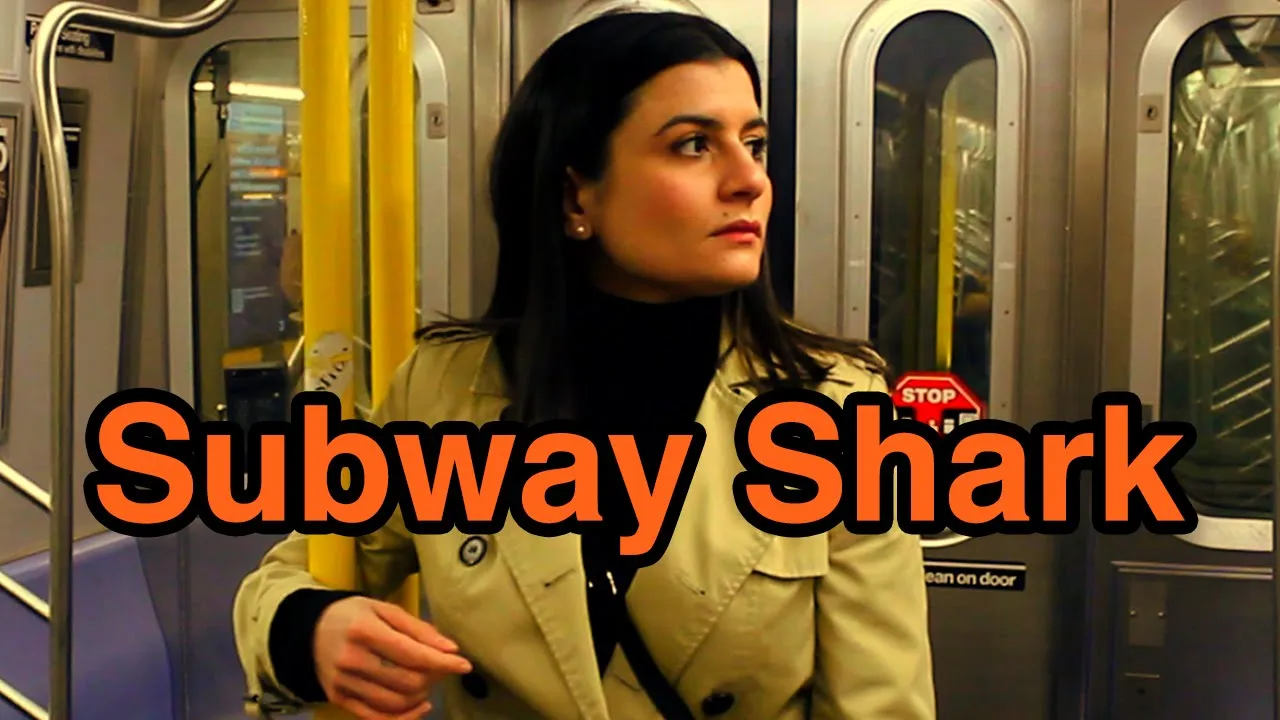 Subway Shark